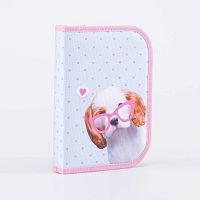 06805026-40 Пенал школьный гол-роз дл. 20 см.