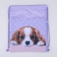 02808225-40 Мешок для обуви фио-роз выс.45 см